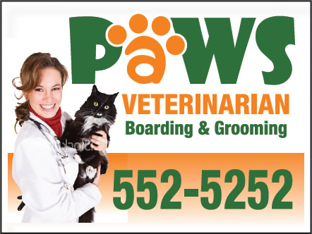 Paws Veterinarian Custom Sign